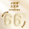 金龙鱼·丰益堂即食小麦胚芽30g*16 商品缩略图2
