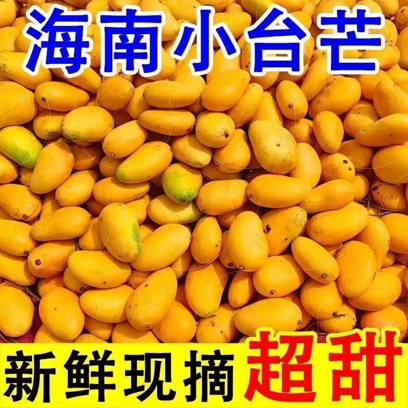 【超甜爆汁❗️海南小台芒】59.9/9斤🔥产地直采新鲜现摘，果肉厚实汁水充足，口感清甜不腻，新鲜小台芒当季特产水果现摘芒果大果整箱包邮L