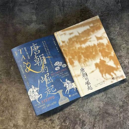 唐朝的崛起 商品图1