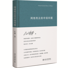 网络刑法的中国问题
