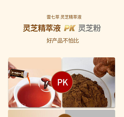 灵芝精萃液 商品图4