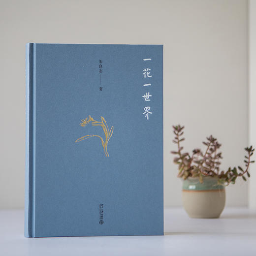 一花一世界 商品图1