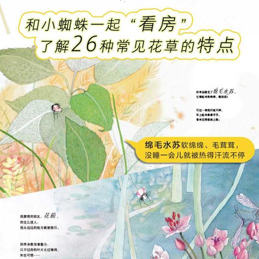 小蜘蛛找房子 商品图3