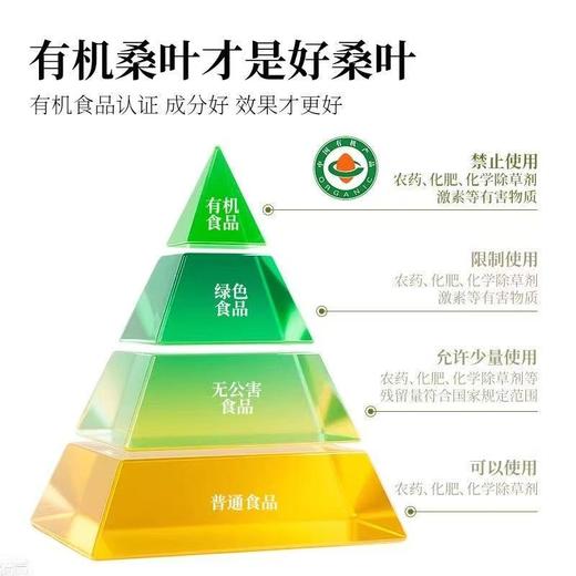 黄山有机霜桑茶  老树手工采摘6道工艺清甘明目 茶汤清澈甘甜清爽入口回甘 桑叶茶 180g*1罐 商品图2