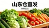 【单件包邮】有机蔬菜随心选｜山东仓直发 商品缩略图0