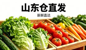 【单件包邮】有机蔬菜随心选｜山东仓直发