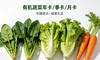 【哈尔滨每周配送】后院有机蔬菜月卡 / 季卡 / 年卡（6/8/10 斤可选）不可用储值余额，【仅限哈尔滨同城配送】 商品缩略图0
