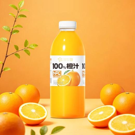 兴龙广缘1kg NFC100%橙汁 商品图1