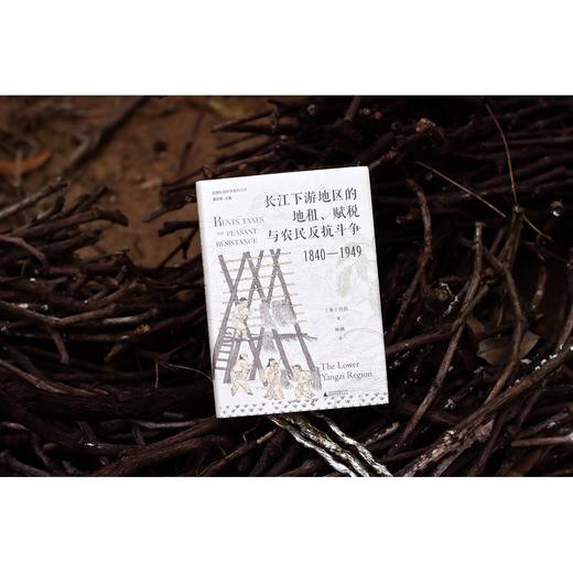 长江下游地区的地租,赋税与农民反抗斗争:1840-1949 商品图2