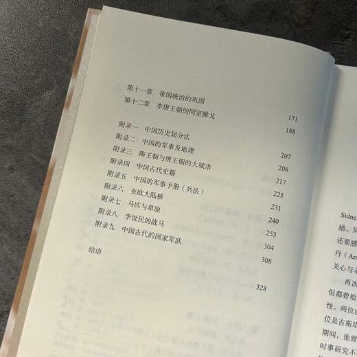 唐朝的崛起 商品图4