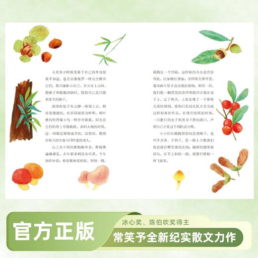 森林的眼睛 商品图2