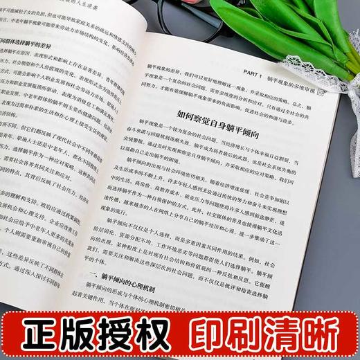 站起来,别躺平:从停滞到突破的人生逆袭 商品图3