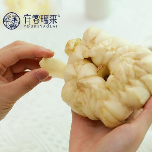 有客瑶来 鲜龙牙百合  100g*3包/5包  高山富硒种植 鲜挖现发 商品图2