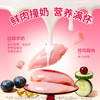 新品【冻干酸奶棒】猫狗通用 磨牙补营养 配料干净入口安心 鲜肉撞奶营养美味 花样喂食增添感情 多维健康守护力 商品缩略图3