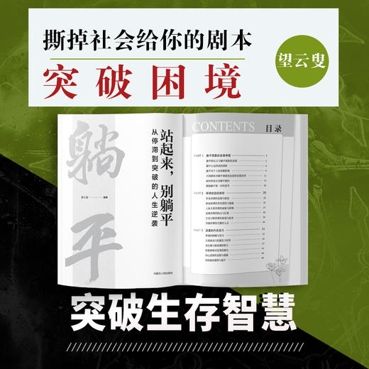 站起来,别躺平:从停滞到突破的人生逆袭 商品图1