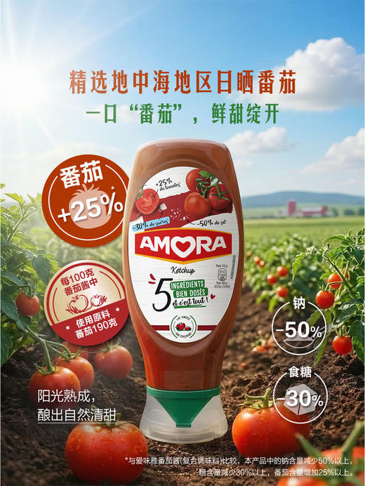 MM 山姆 AMORA减盐减糖番茄酱（复合调味料）468g*2 商品图3