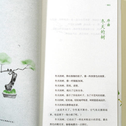 且待绿意满树梢 商品图4