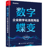 数字蝶变:企业数字化流程再造 商品缩略图0