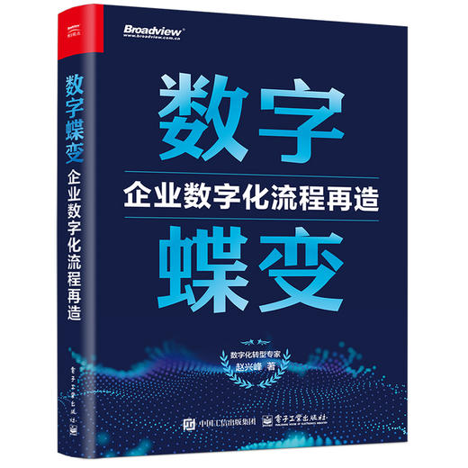 数字蝶变:企业数字化流程再造 商品图0