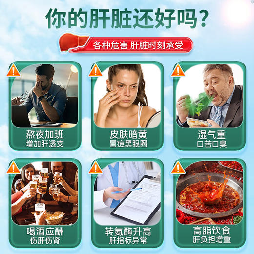 Vinsic肝能量片 商品图2
