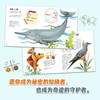动物的超级秘密档案(全4册) 商品缩略图3