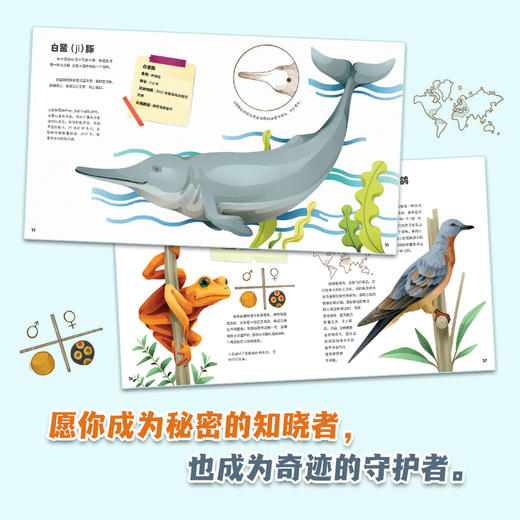 动物的超级秘密档案(全4册) 商品图3