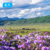 第二届 尼汝花季徒步节｜六月限定 徒步穿越中国最原始的杜鹃花海 邂逅彩虹环绕的七彩瀑布 6日 商品缩略图4