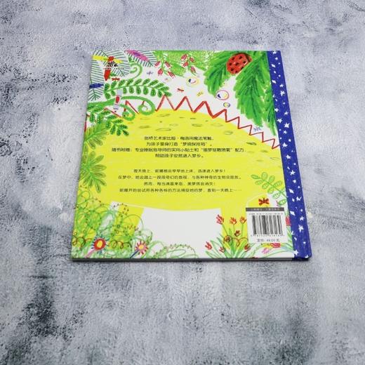 如何捕捉一个梦 商品图2