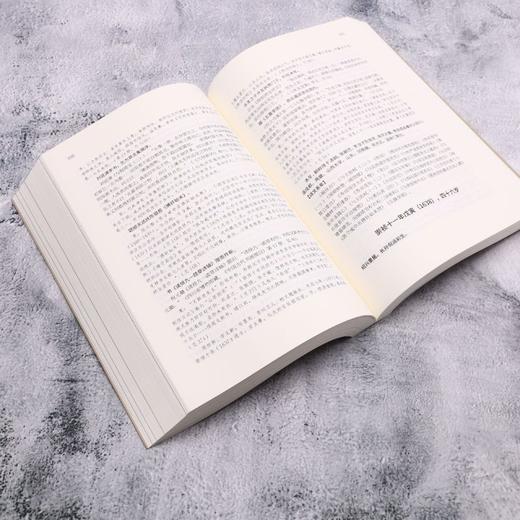 倪元璐年谱 商品图4