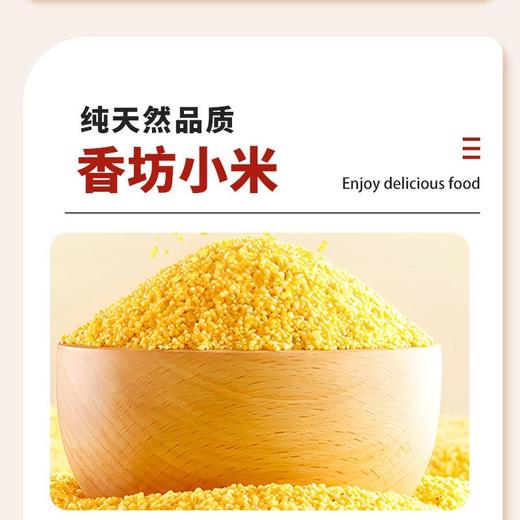 五合民时汇1000g黄金苗小米 商品图1