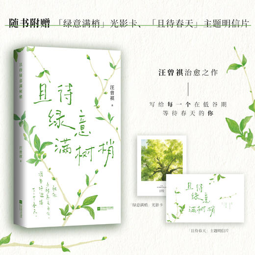 且待绿意满树梢 商品图0