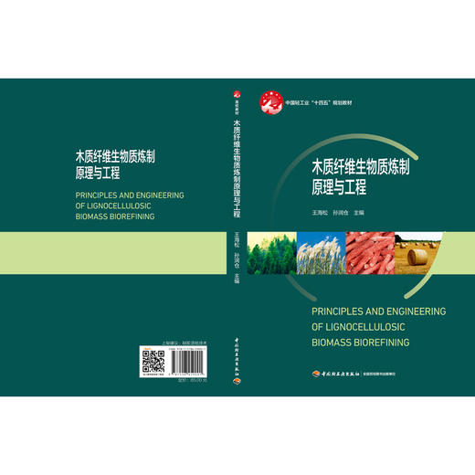 木质纤维生物质炼制原理与工程 商品图2