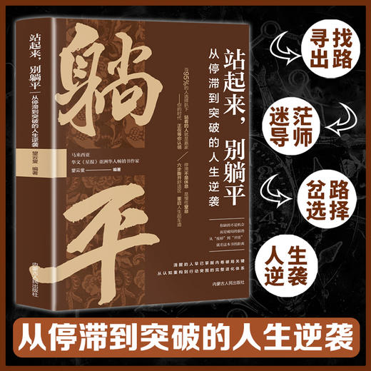 站起来,别躺平:从停滞到突破的人生逆袭 商品图2