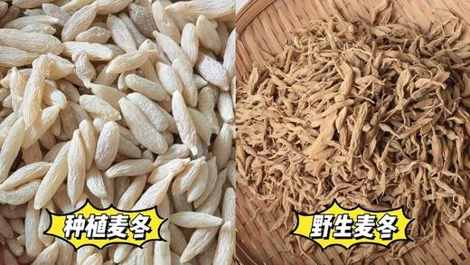 【首发活动：拍2减10元！】野生麦冬|180g/盒，保质期12个月，✔云南深山天生天养，无污染，0农残，产量不定，采挖全靠运气；养阴生津、润肺止咳、清心除烦安神！ 商品图14