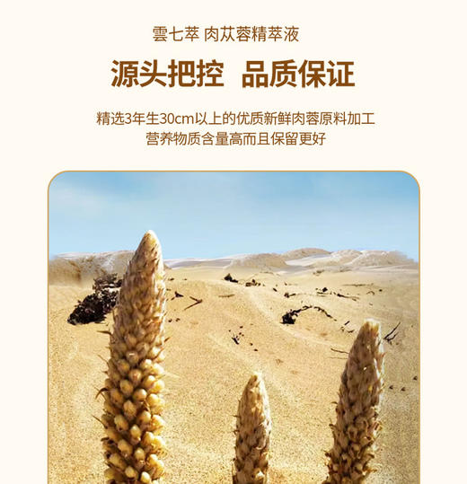 肉苁蓉精萃液 商品图1