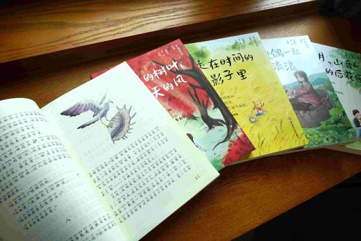 《冰心奖获奖作家精品书系》di一辑（5册） 美绘注音版 商品图2