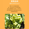 （清仓产品）2021年西班牙小红帽奥太郎香橙味，酒精度7度，整箱750ml*6瓶。特价处理 商品缩略图3