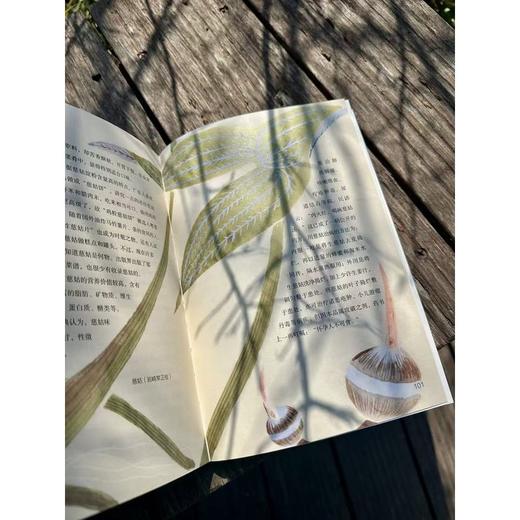 金菜玉蔬:相见欢 商品图2