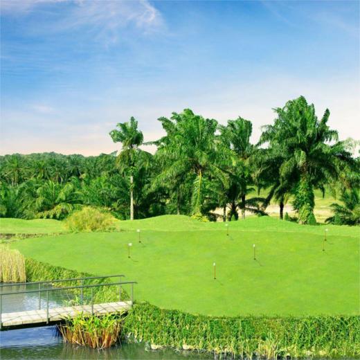 圣尼峰高尔夫俱乐部 Senibong Golf Club I  新山高尔夫球场  I 马来西亚高尔夫俱乐部  I  东南亚 商品图1