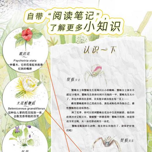 小蜘蛛找房子 商品图4