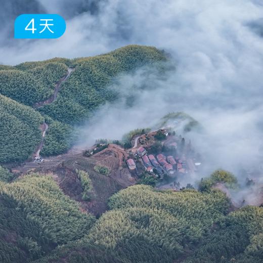 括苍云径｜浙东南第一高峰 25公里入门轻徒步 江浙沪新晋热门徒步线 4日 商品图1