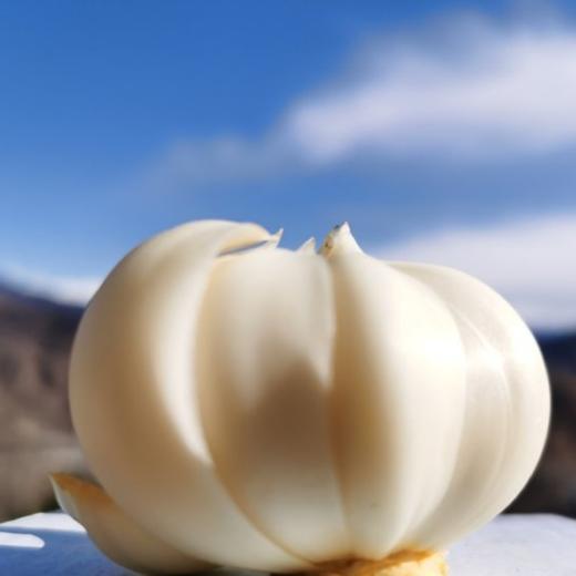 有客瑶来 鲜龙牙百合  100g*3包/5包  高山富硒种植 鲜挖现发 商品图1