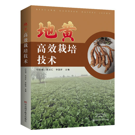 地黄高效栽培技术 商品图0
