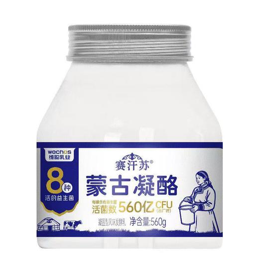 赛汗苏560g蒙古凝酪 商品图0