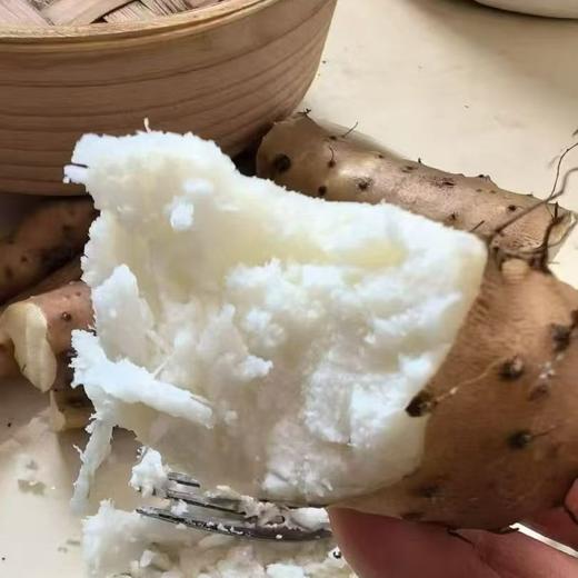 河南焦作温县鲜怀山药 原产地合作直发5斤 商品图2
