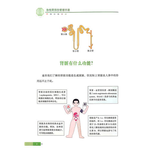 急性肾损伤管理手册 健康中国·疾病管理丛书 陈香美 蔡广研 主编 系统解答了108个核心问题 9787523530139 科学技术文献出版社 商品图4