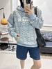 天蓝色老花连帽卫衣，男女同款 商品缩略图5