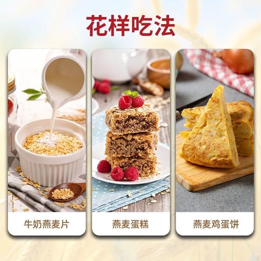 五合托比阳光1.278kg即食燕麦片 商品图2