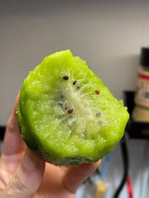 B1F【自采水果】百泽猕猴桃  规格：6枚/450g/盒（取货日期：4月23日取货） 商品图2