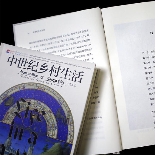 中世纪乡村生活 商品图3